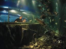 Lakes Aquarium